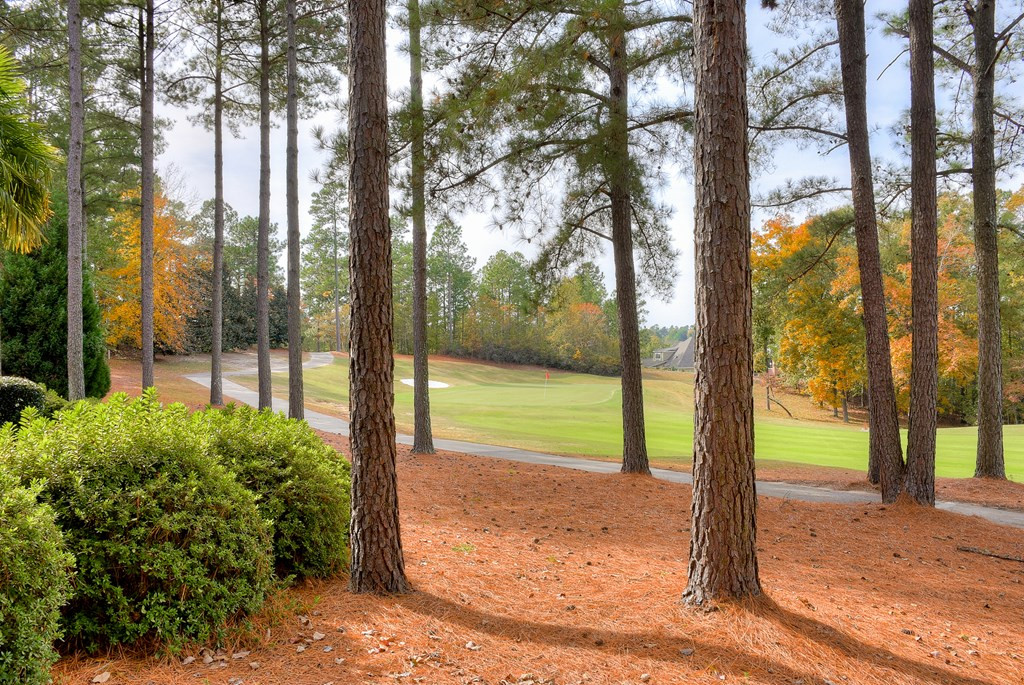 260 Forest Pines Road Aiken, SC 29803 - Photo 46 of 46 Gallery Image 46