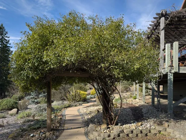 a view of a garden with plants