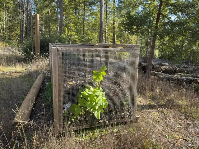 $1,299,000 | 40695 Roseman Creek Road, Gualala, CA 95445