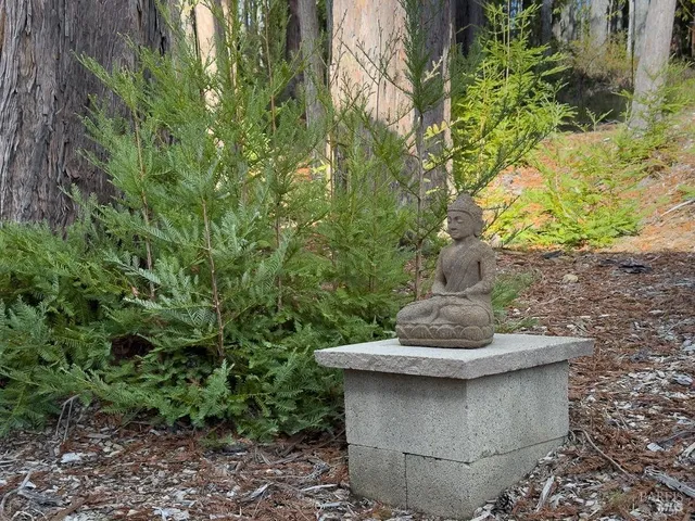 $1,299,000 | 40695 Roseman Creek Road, Gualala, CA 95445