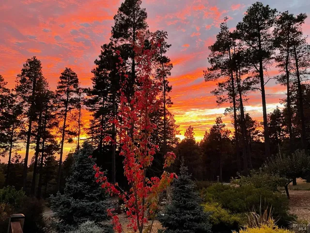 $1,299,000 | 40695 Roseman Creek Road, Gualala, CA 95445