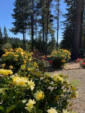 $1,299,000 | 40695 Roseman Creek Road, Gualala, CA 95445