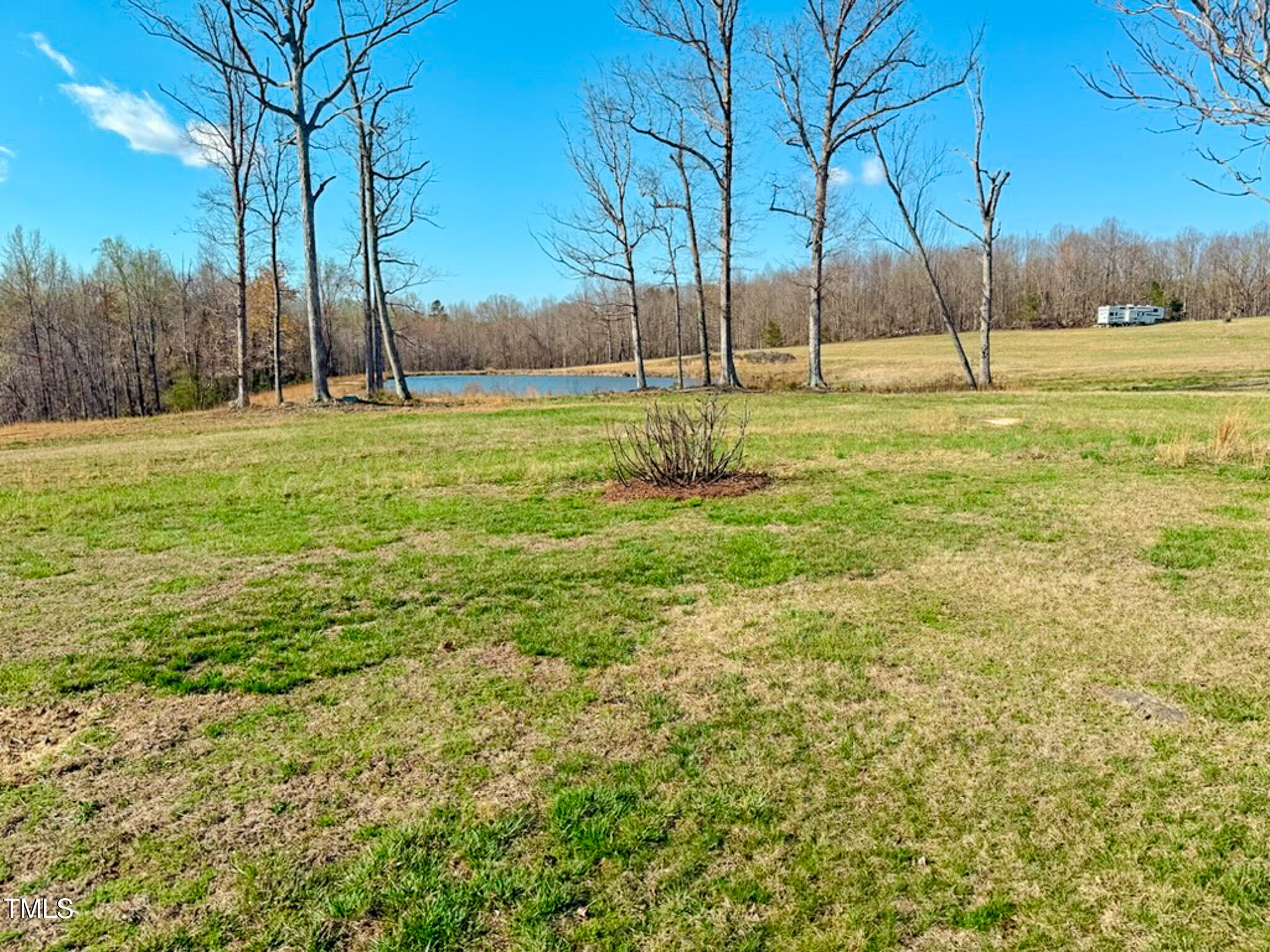 210 Holloway Road Roxboro, NC 27573 - Photo 8 of 44 a view of yard with tree