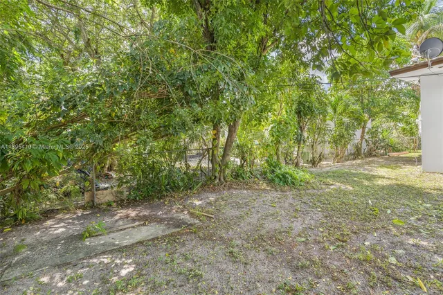 a view of a yard with a tree