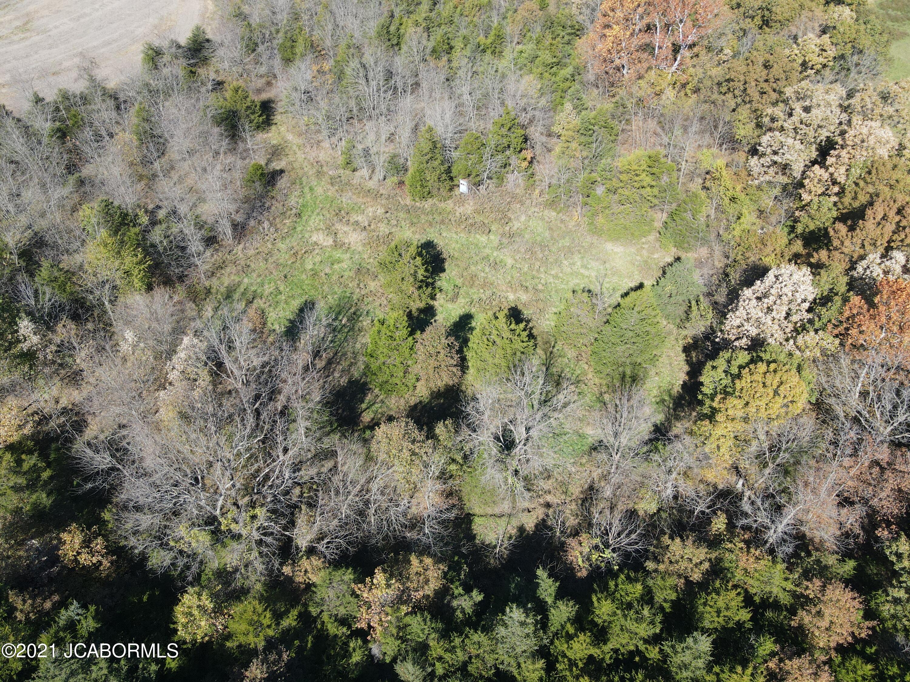 60924 Red Bird Road Jamestown, MO 65046 - Photo 3 of 50