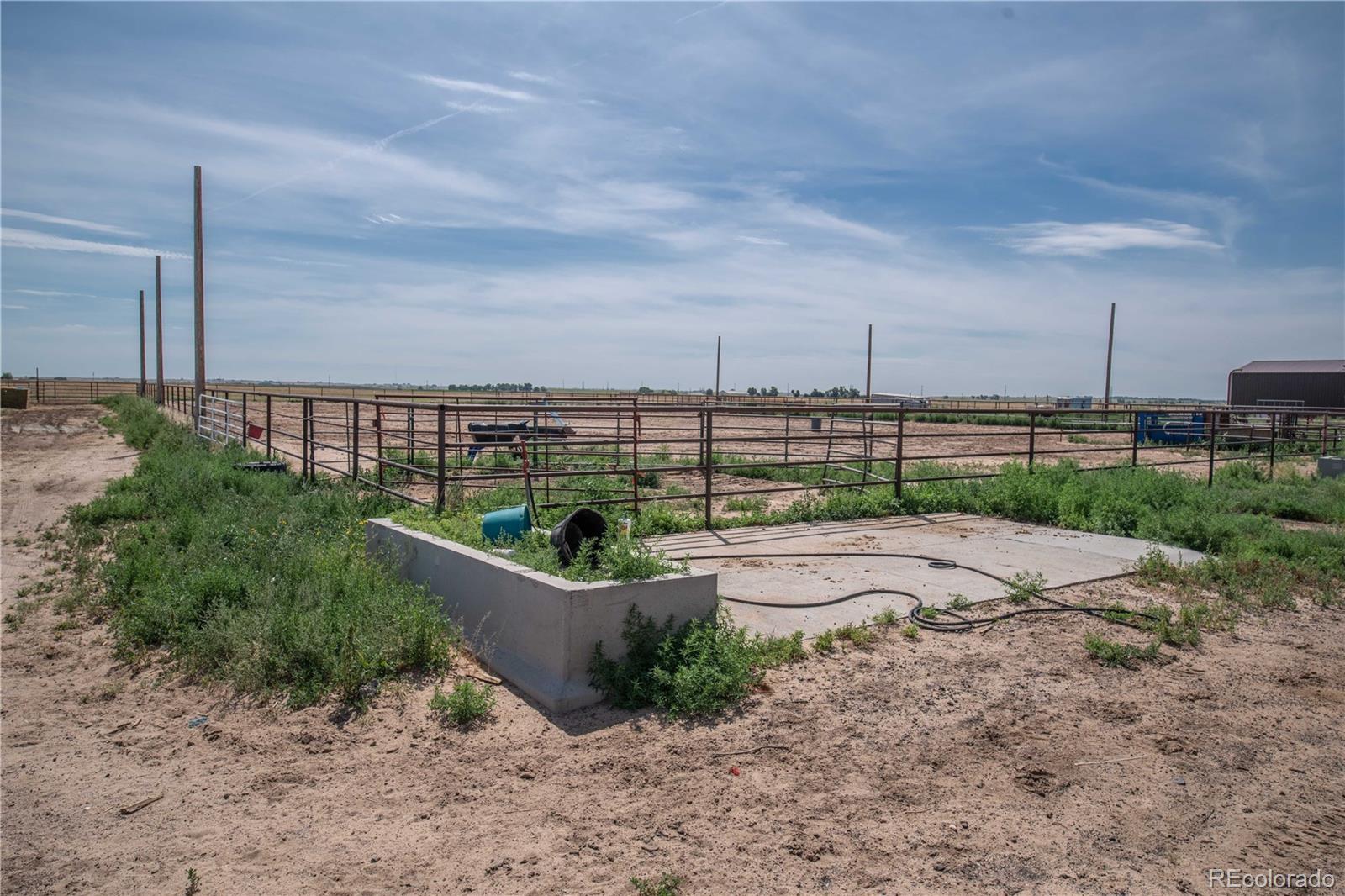 9368-41 41st Fort Fort Lupton, CO 80621 - Photo 36 of 44 a yard with lots of green space