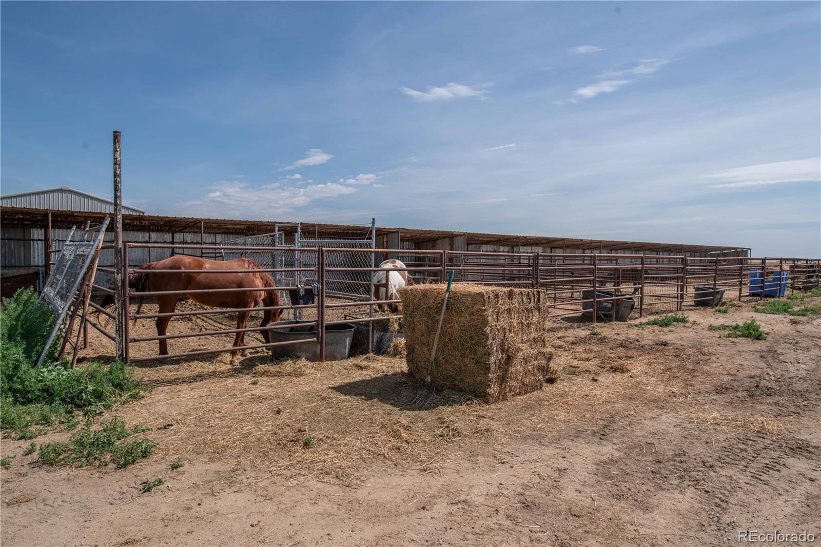 9368-41 41st Fort Fort Lupton, CO 80621 - Photo 38 of 44