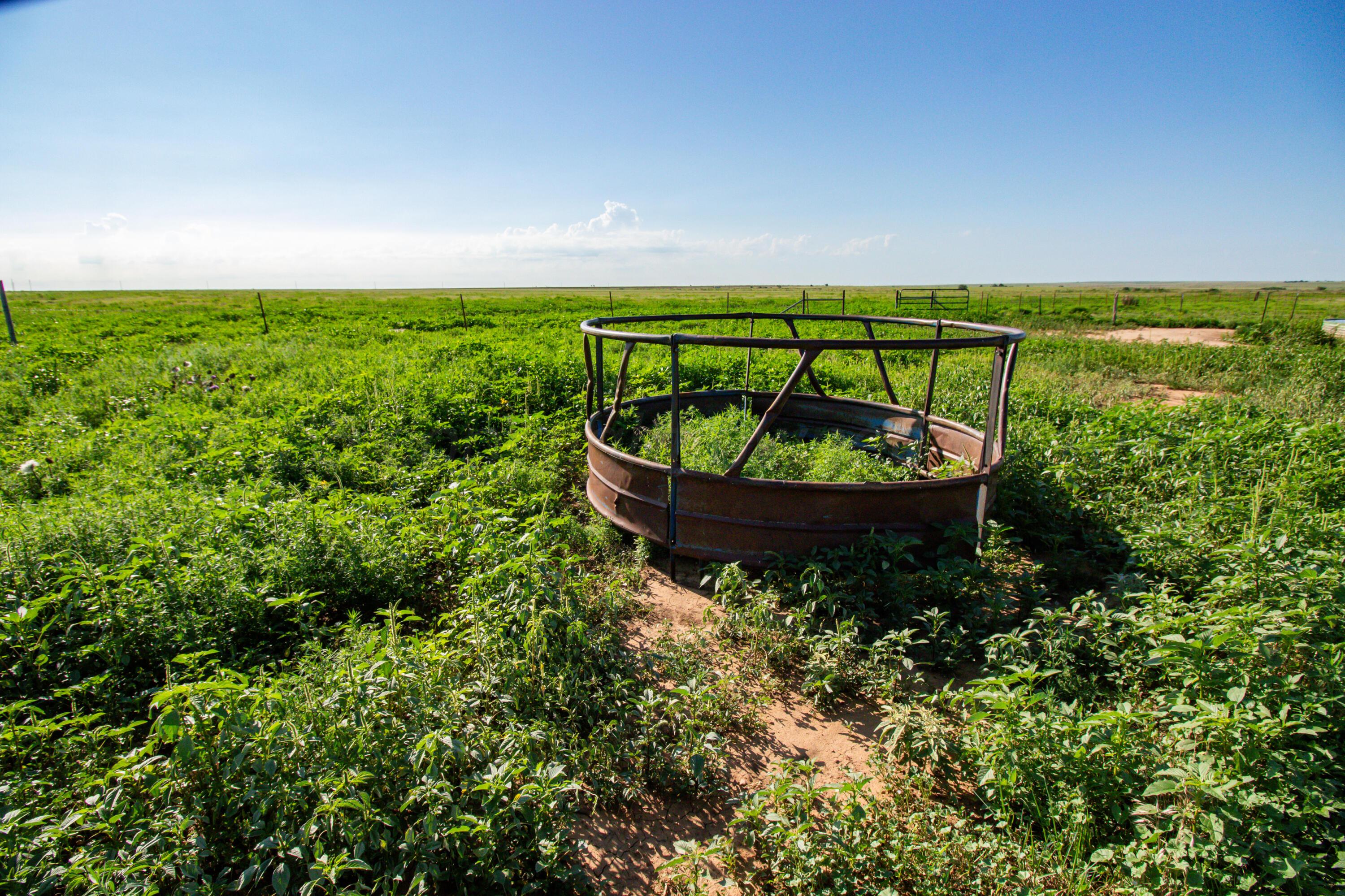 22 Boomer Place Claude, TX 79019 - Photo 7 of 28 a view of a backyard with plants and a garden