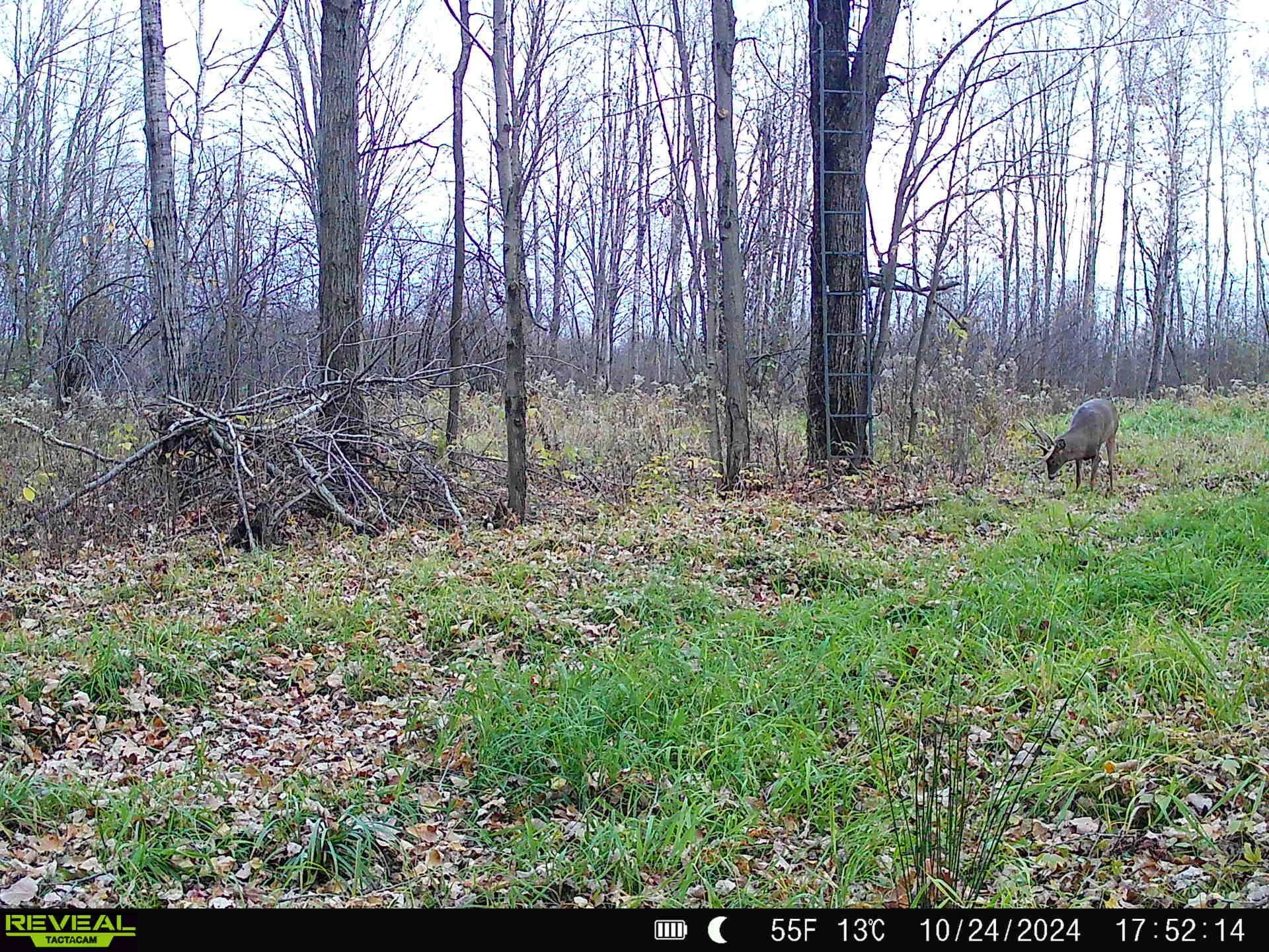 239095 Dawson Road Athens, WI 54411 - Photo 17 of 21