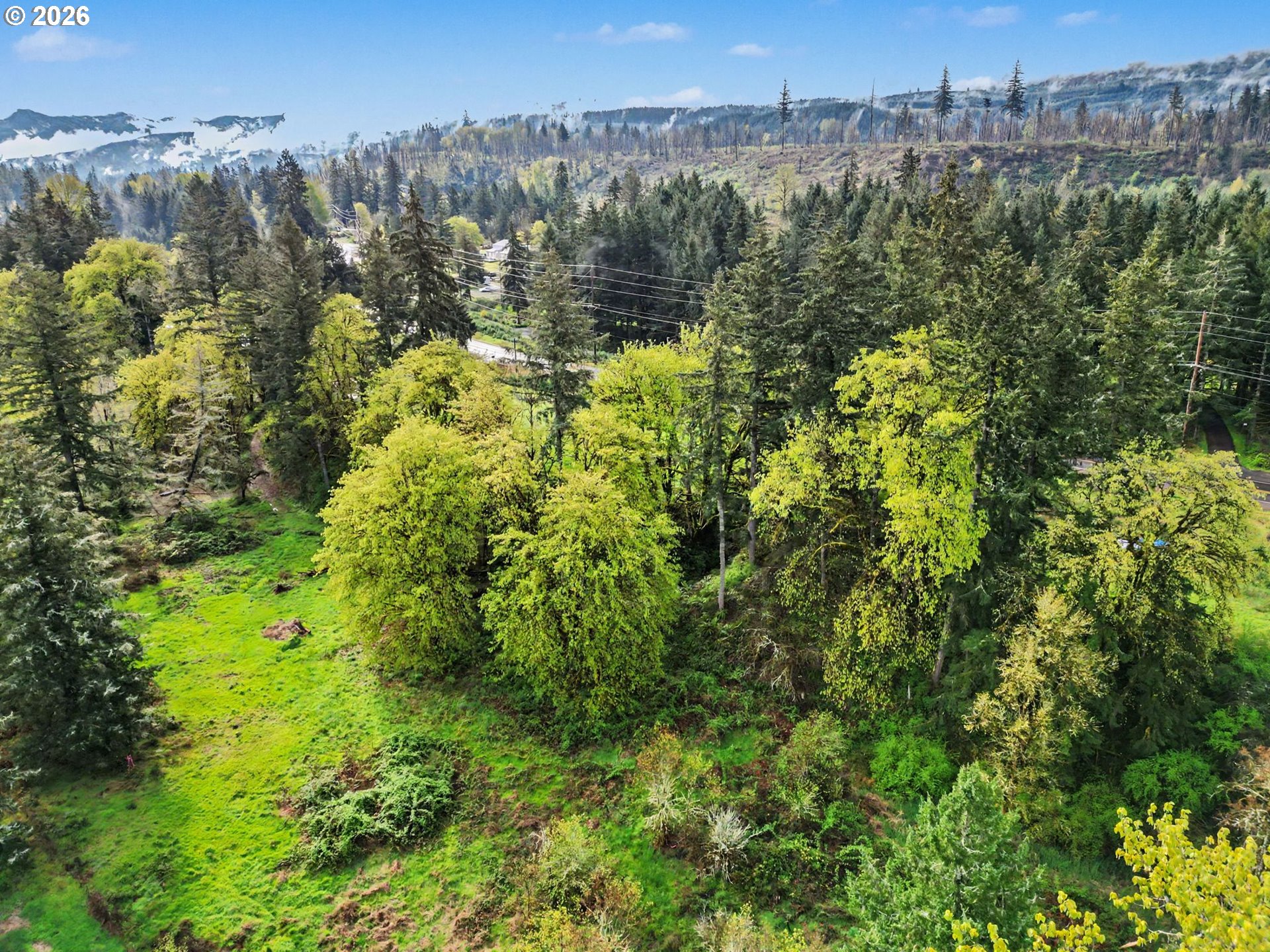 Lyons Mill Lyons, OR 97358 - Photo 8 of 11