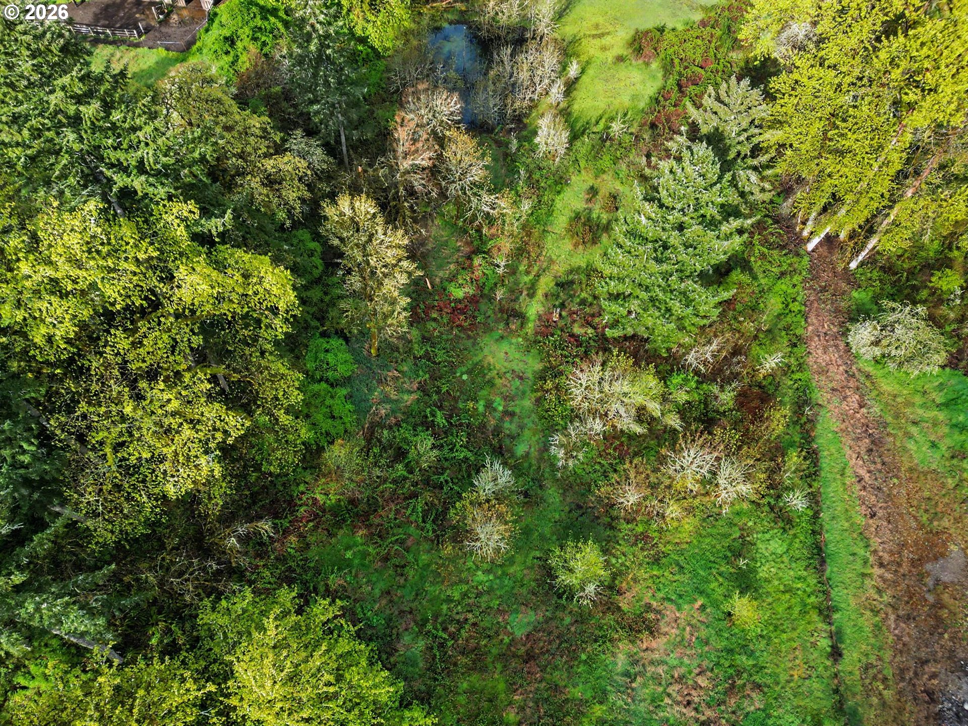 Lyons Mill Lyons, OR 97358 - Photo 9 of 11