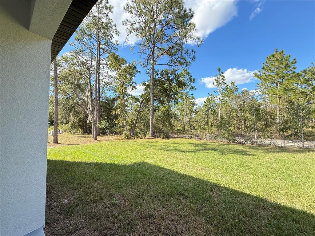 7815 Southwest 128th St Road Ocala, FL 34473 - Photo 39 of 40 a view of a yard with an outdoor space