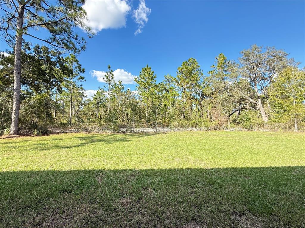 7815 Southwest 128th St Road Ocala, FL 34473 - Photo 40 of 40 a view of an ocean view