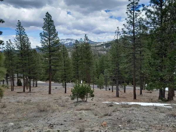 $20,000 | 681 Star Top, Unit 10, Clio, CA 96106
