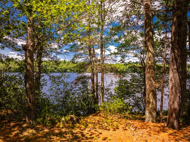 $950,000 | Lot 1 Aldus Shores Road, Searsmont, ME 04973