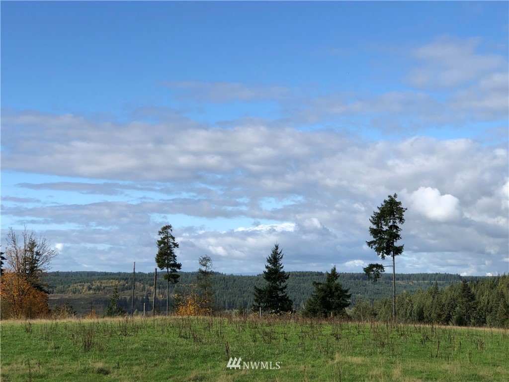 3 Oppelt Road Chehalis, WA 98532 - Photo 8 of 12 a view of a lake with a big yard