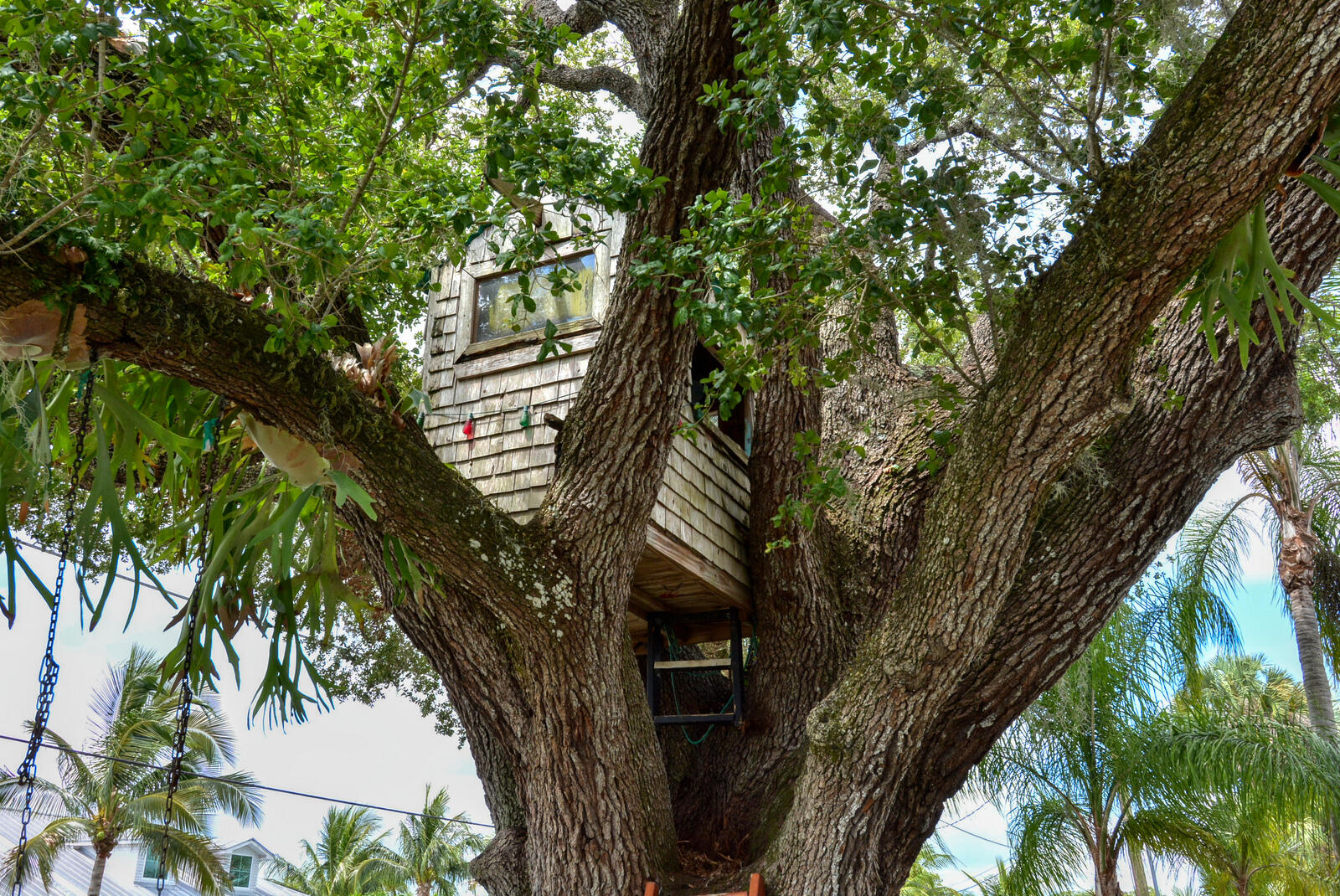 379 Southwest Harbor Street Stuart, FL 34997 - Photo 4 of 50 TREE HOUSE