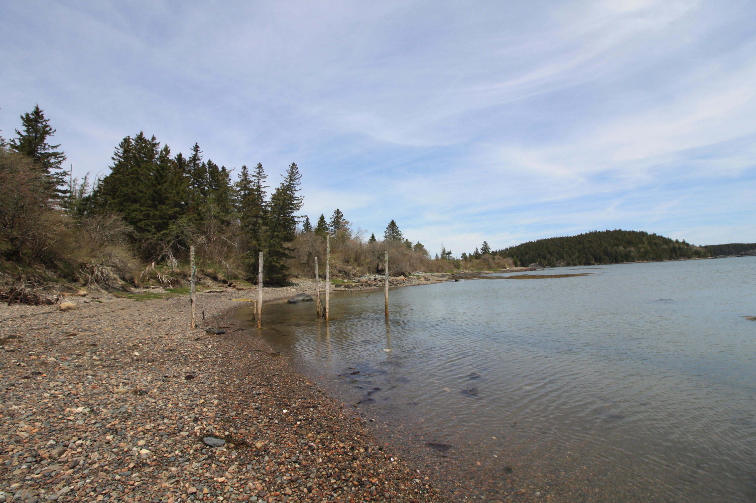 86 Smalls Point Road Machiasport, ME 04655 - Photo 6 of 28 IMG_6846