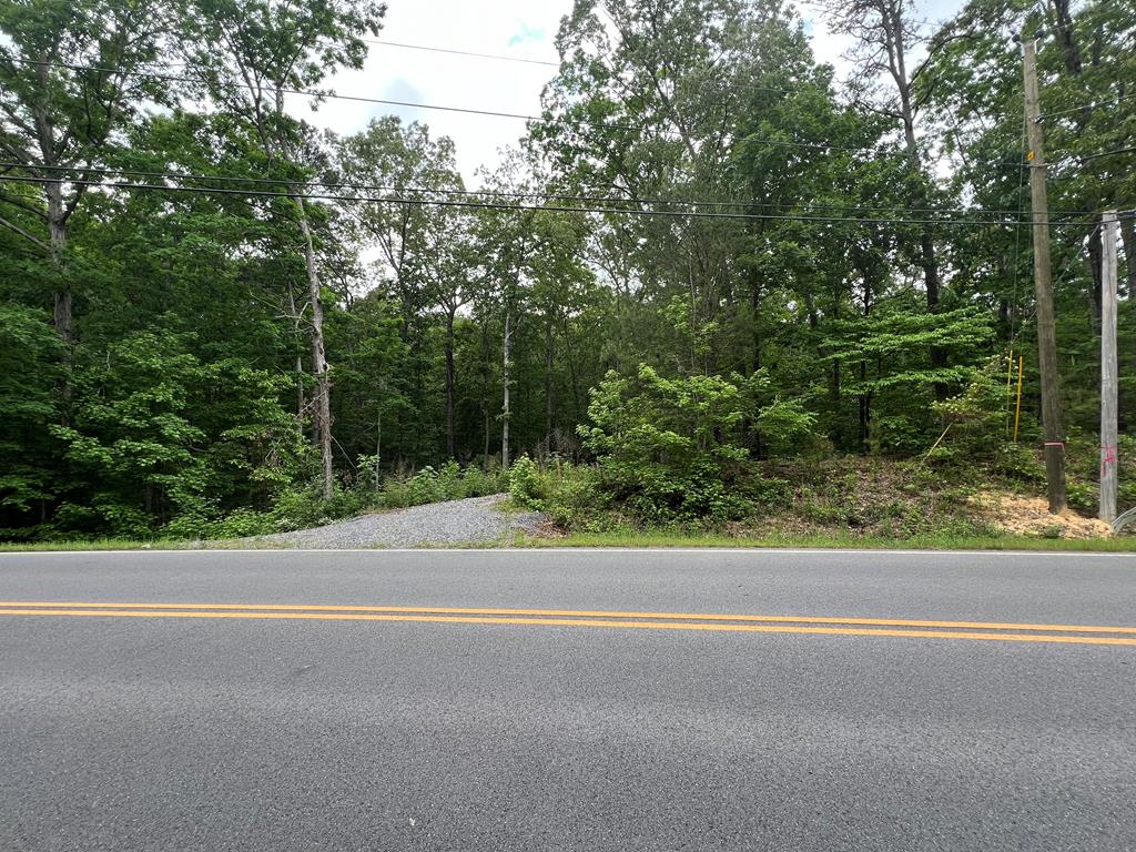 0 Haig Ml Lk Road Dalton, GA 30720 - Photo 1 of 6 Main View