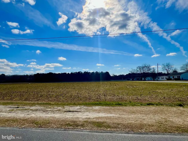 a view of an ocean from a yard