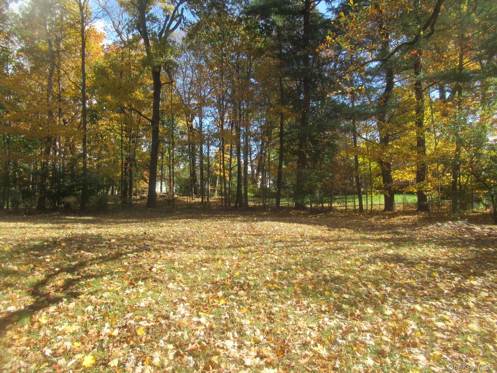 77 Brothers Road Wappingers Falls, NY 12590 - Photo 21 of 21 a view of outdoor space with deck and trees