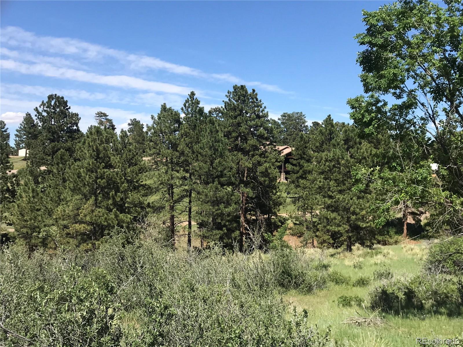7576 Homestead Road Parker, CO 80138 - Photo 8 of 14 Gallery Image 8
