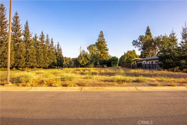 a view of yard with trees and houses in the background