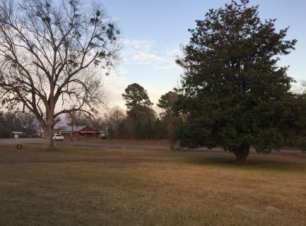 7030 Old Hillsboro Road Forest, MS 39074 - Photo 26 of 29 Photo 26