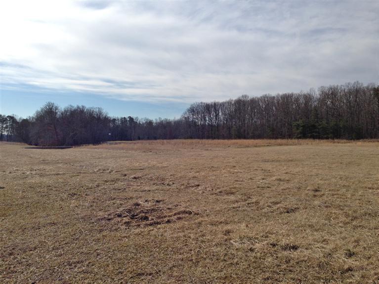 1009 Flatwoods Road Nancy, KY 42544 - Photo 1 of 32 Primary Photo