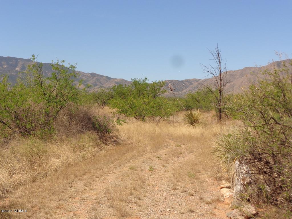 North Cochise Stronghold Road Cochise, AZ 85606 - Photo 3 of 10