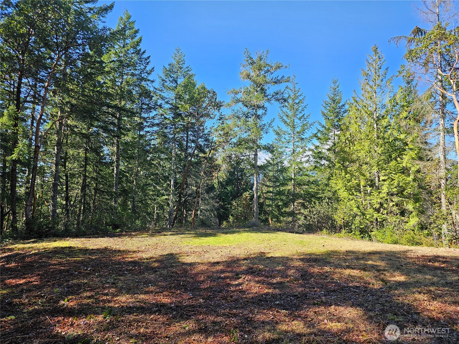 753 Jupiter Loop Brinnon, WA 98320 - Photo 16 of 25