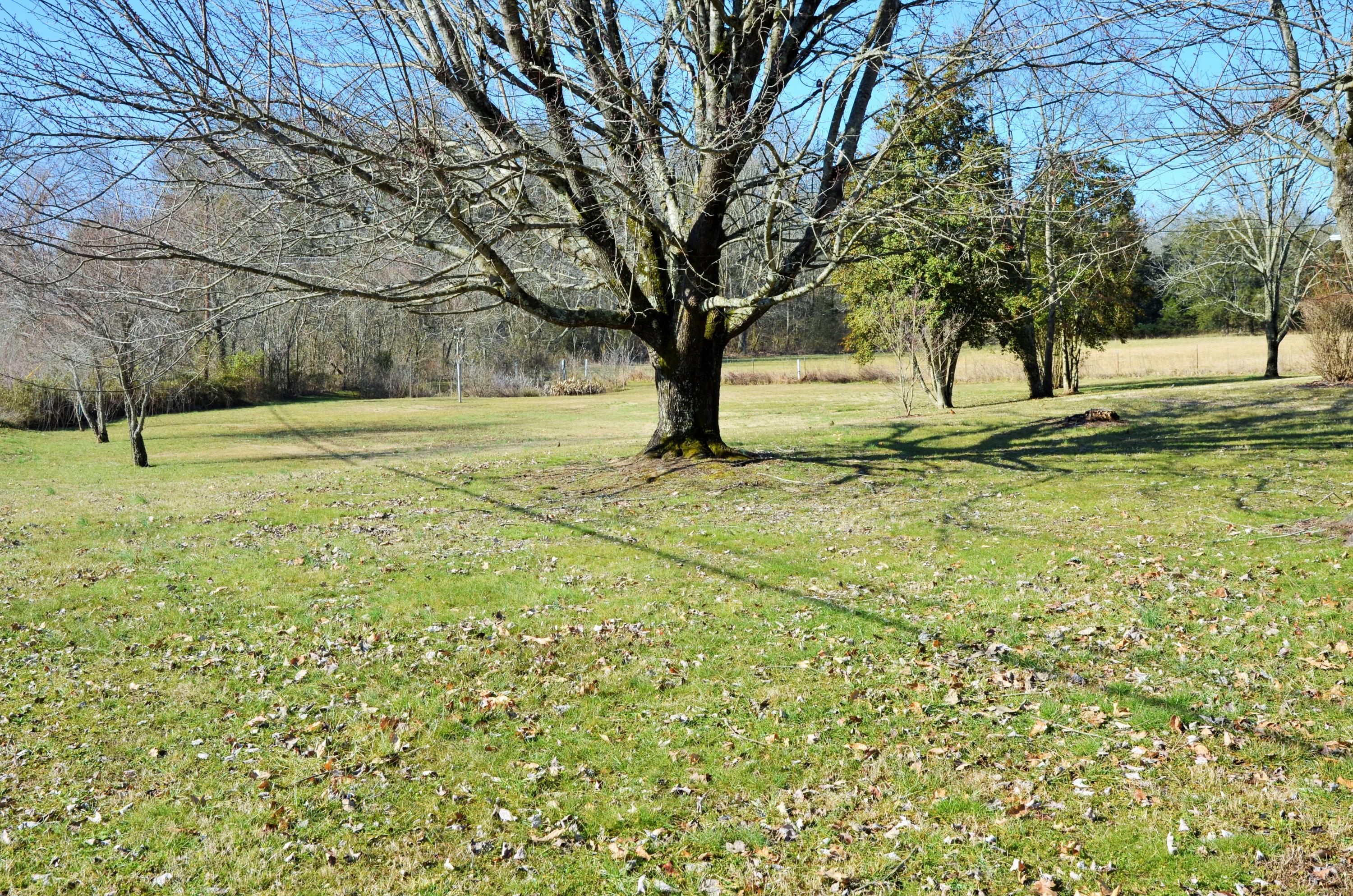8101 Corryton Luttrell Road Corryton, TN 37721 - Photo 3 of 19 Side Yard