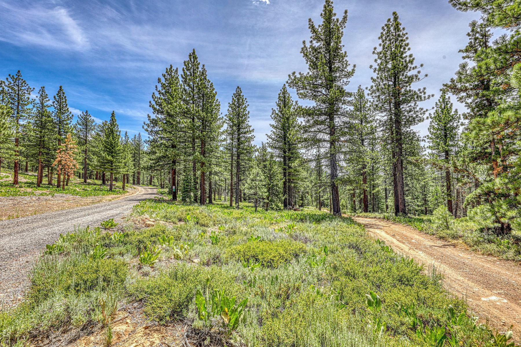 16145 Martis Peak Road Truckee, CA 96161 - Photo 9 of 21