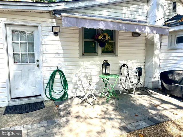 a view of a chair with potted plant in front of it