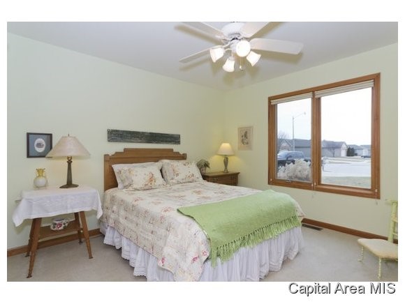 2700 Amelia Court Springfield, IL 62711 - Photo 13 of 15 Gallery Image 13