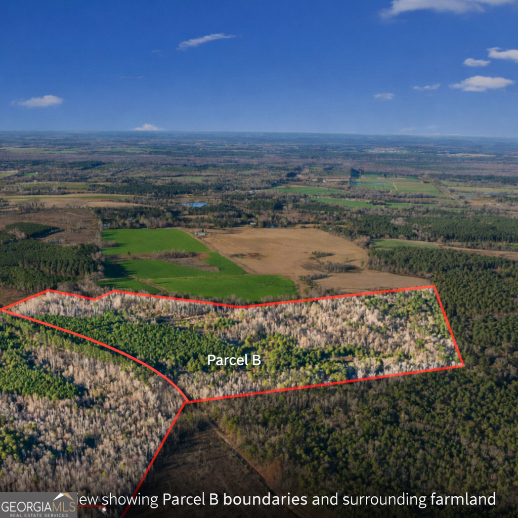 a view of a pathway with a garden