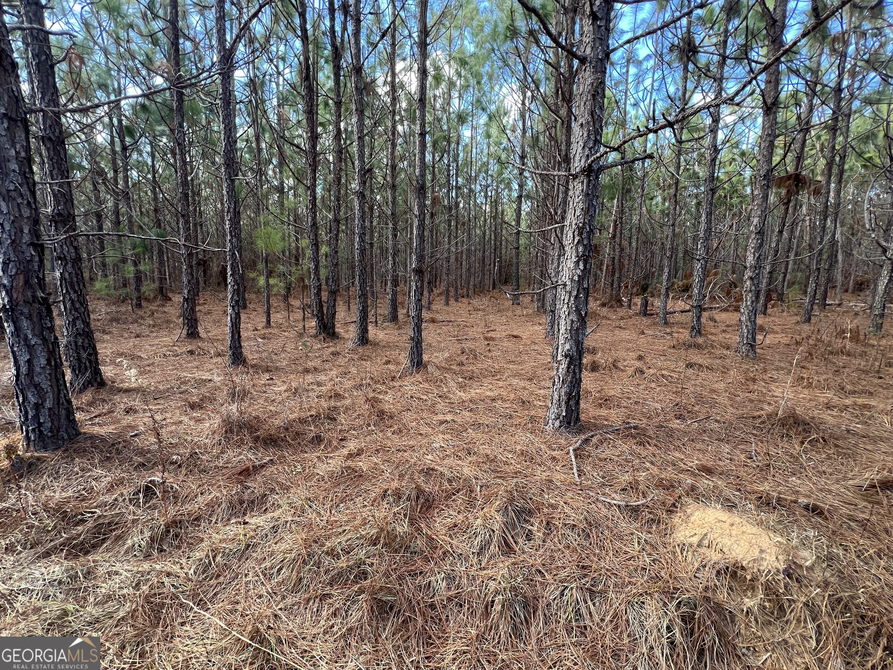 0 Thomas Road Millen, GA 30442 - Photo 2 of 11 a view of outdoor space with trees