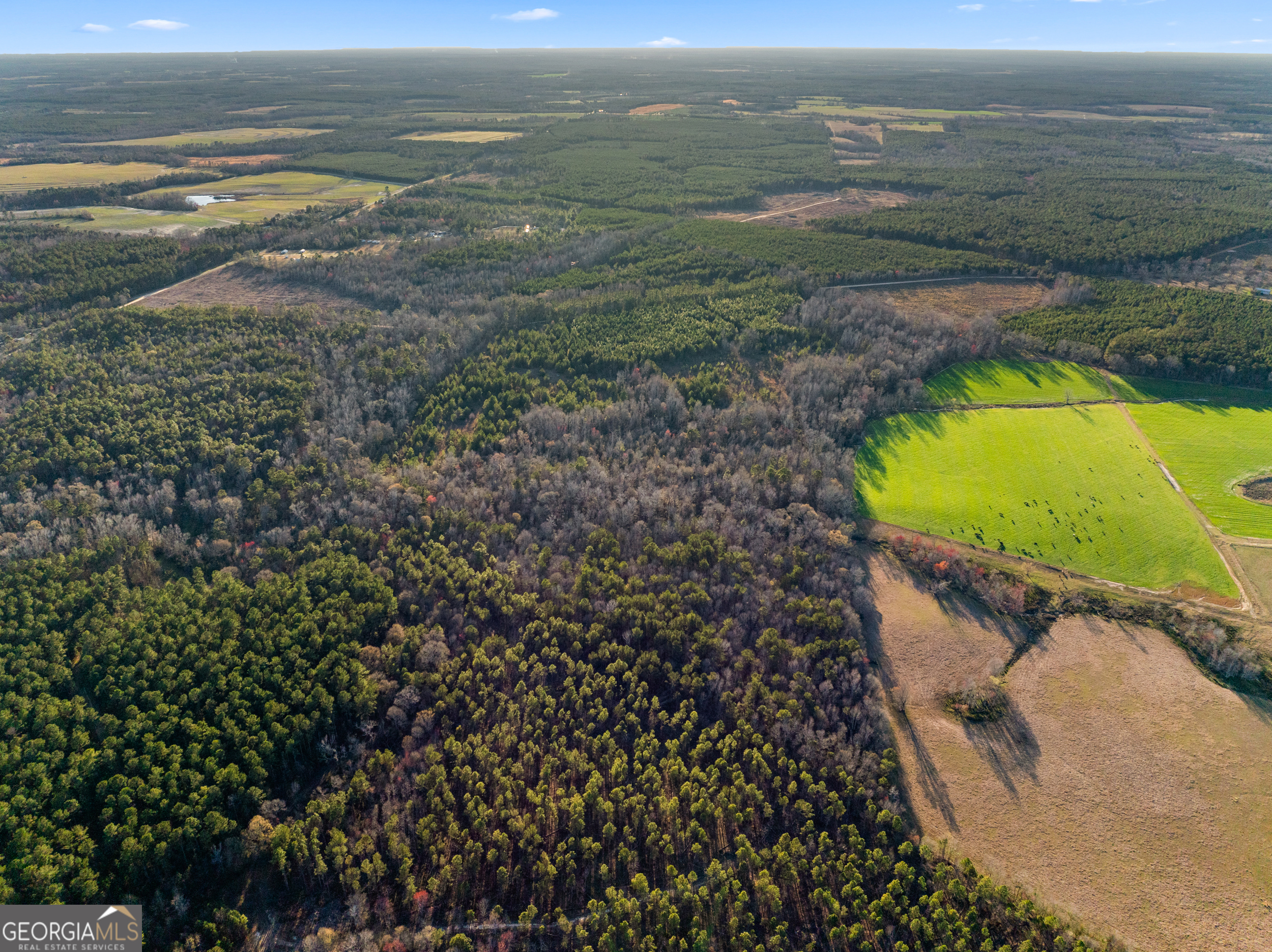 0 Thomas Road Millen, GA 30442 - Photo 7 of 11 a view of an ocean and beach