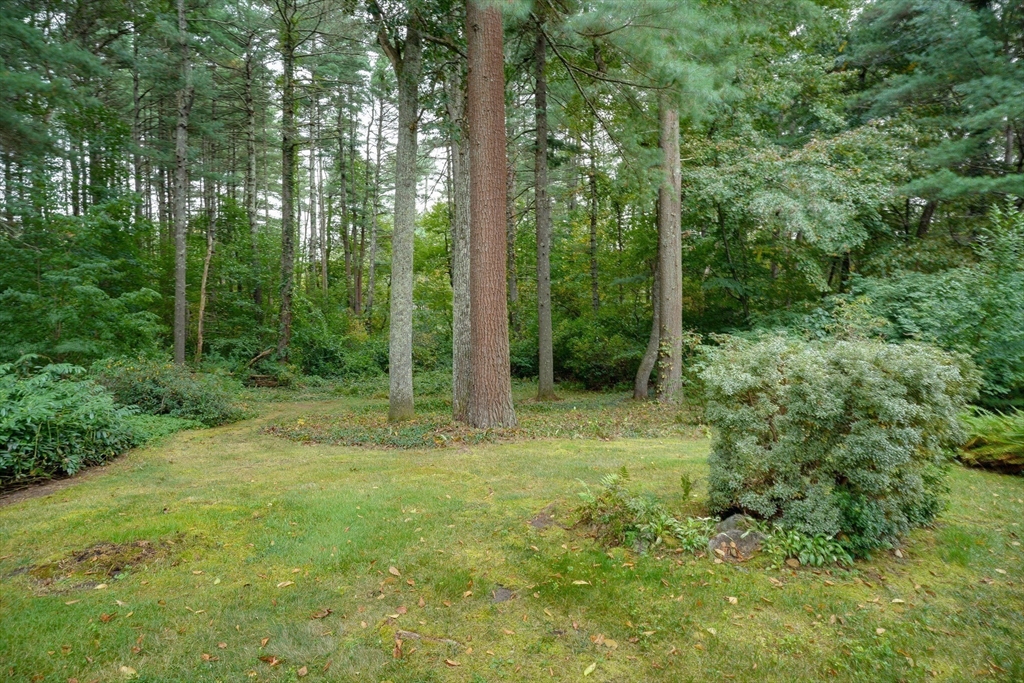 19 Colonial Road Sudbury, MA 01776 - Photo 27 of 27 Gallery Image 27