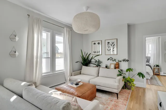 a living room with furniture potted plant and a window