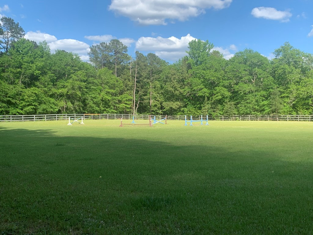 1201 Clayton Road Ridge Spring, SC 29129 - Photo 52 of 56