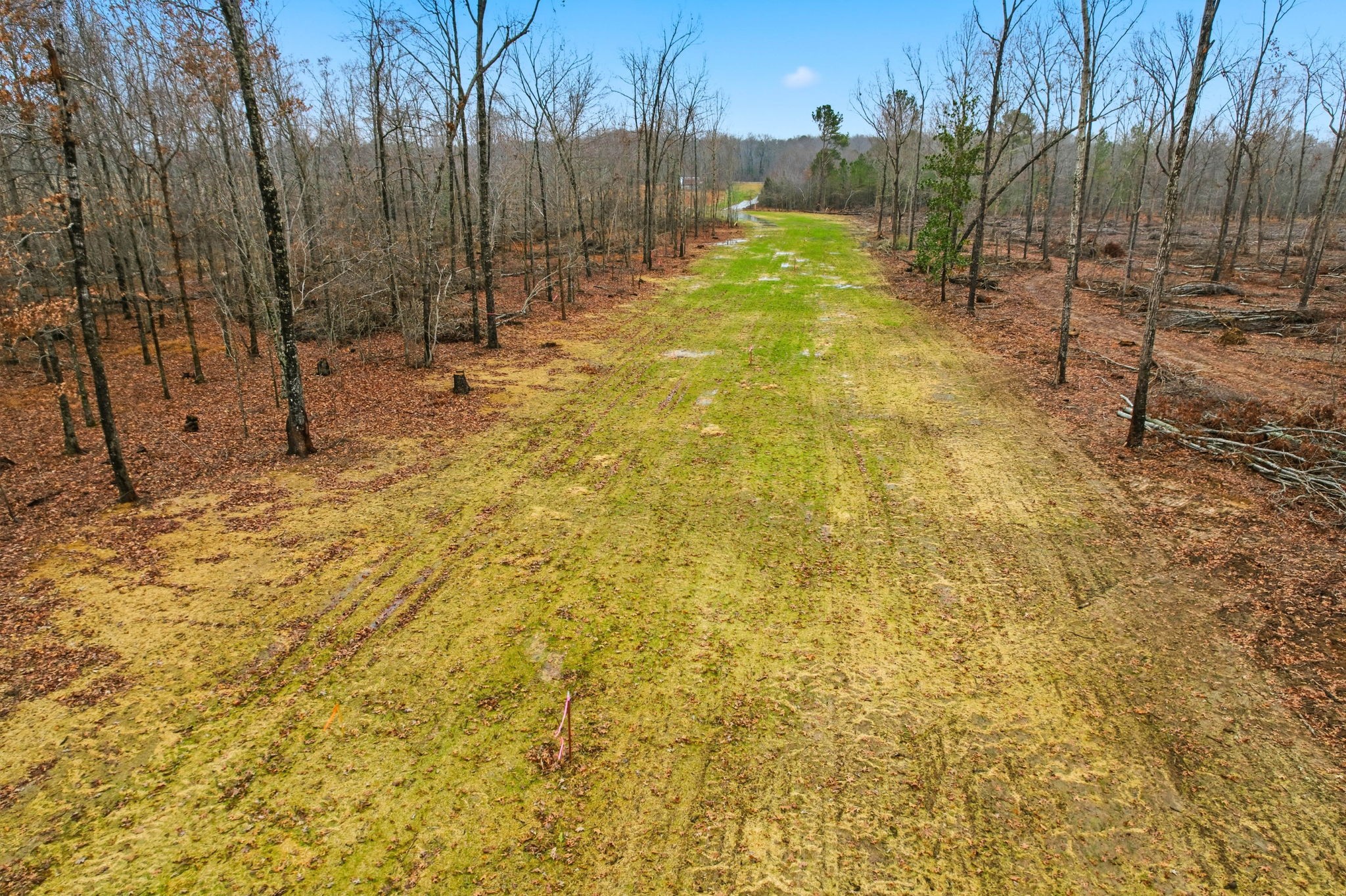 0 Whitaker Lane Belvidere, TN 37306 - Photo 12 of 14 a view of yard with trees