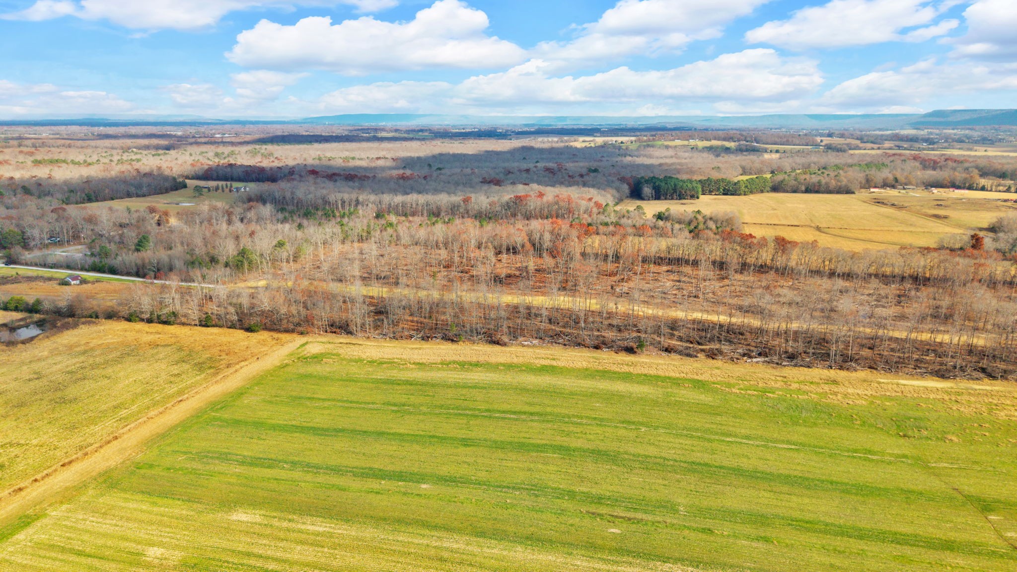 0 Whitaker Lane Belvidere, TN 37306 - Photo 8 of 14 a view of an ocean