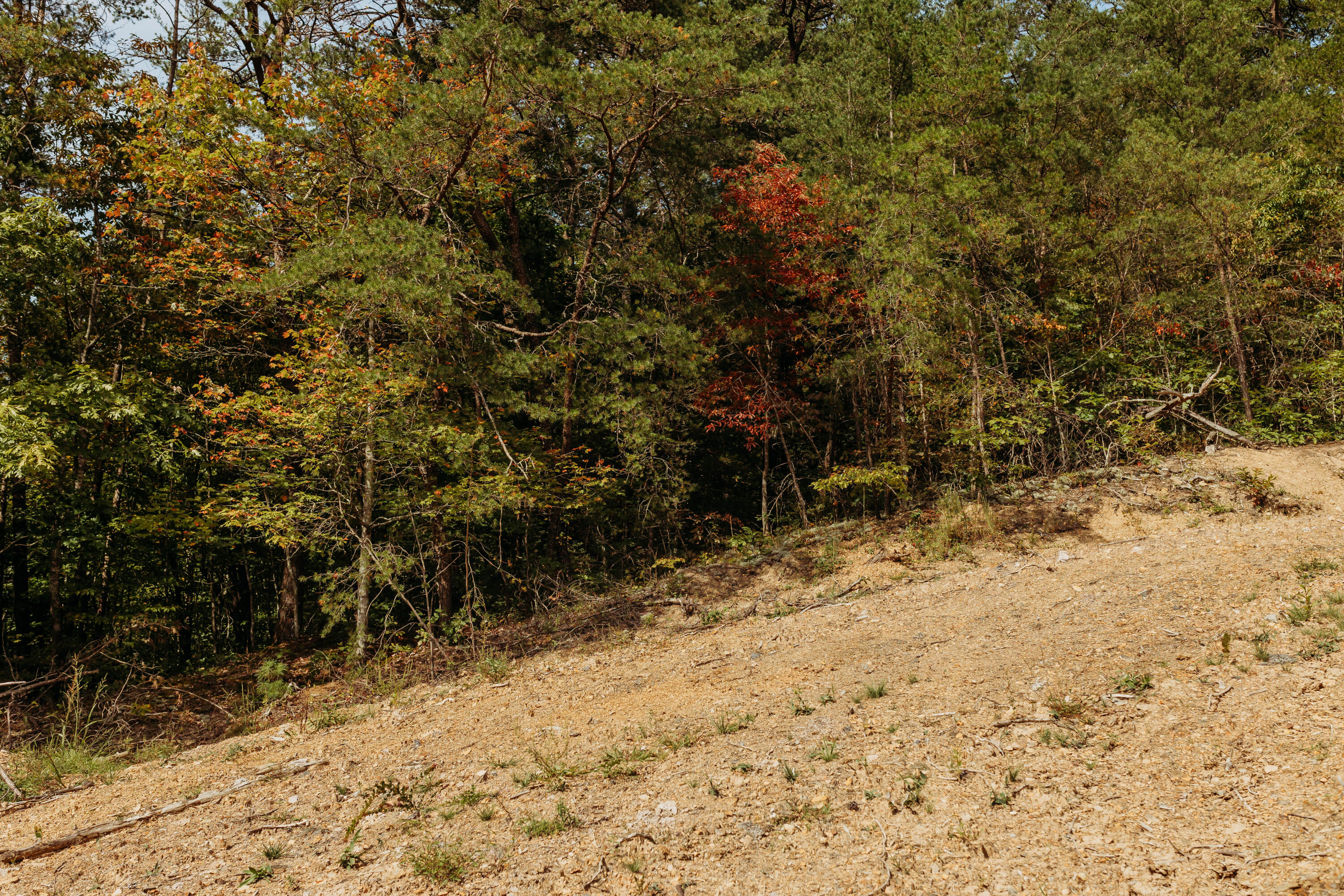 Tbd Lot 19 Tbd Road Campton, KY 41301 - Photo 5 of 19 FO7A1026