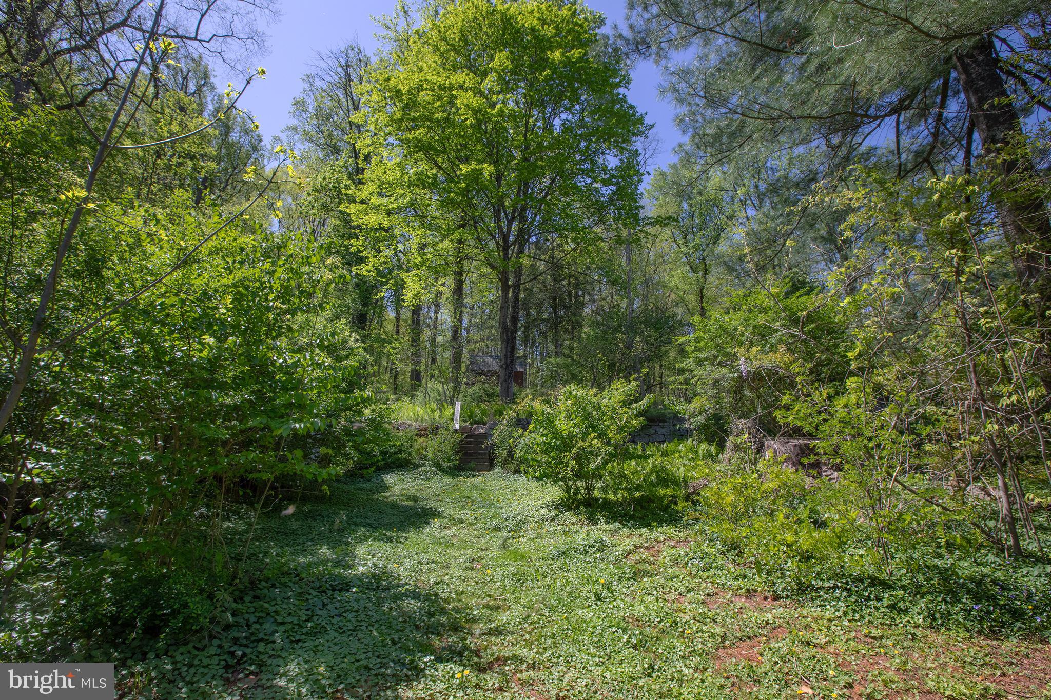 2957 River Road New Hope, PA 18938 - Photo 23 of 30 a view of a garden