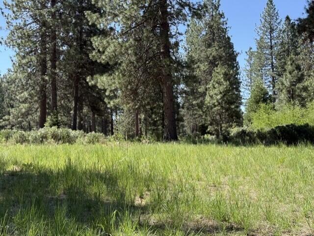 Lot 13 Haul Road McCloud, CA 96057 - Photo 1 of 8 Baker 2