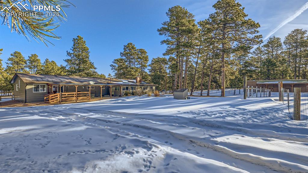 16635 High Tree Drive Elbert, CO 80106 - Photo 37 of 44 a view of a house with a yard