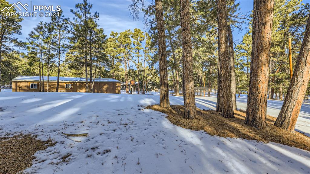 16635 High Tree Drive Elbert, CO 80106 - Photo 39 of 44 a view of a backyard with large trees and wooden fence