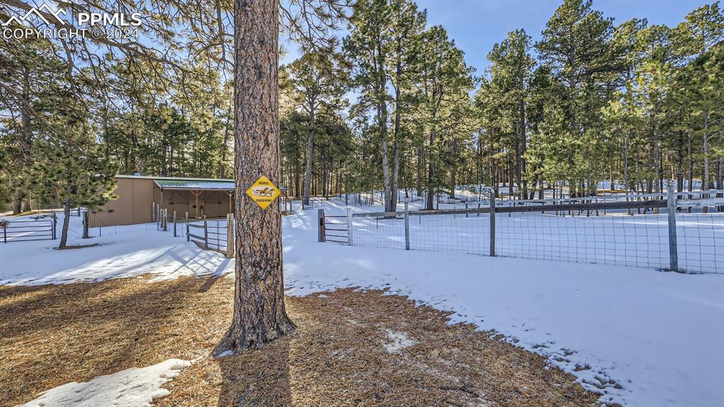 16635 High Tree Drive Elbert, CO 80106 - Photo 40 of 44 a view of a park with trees