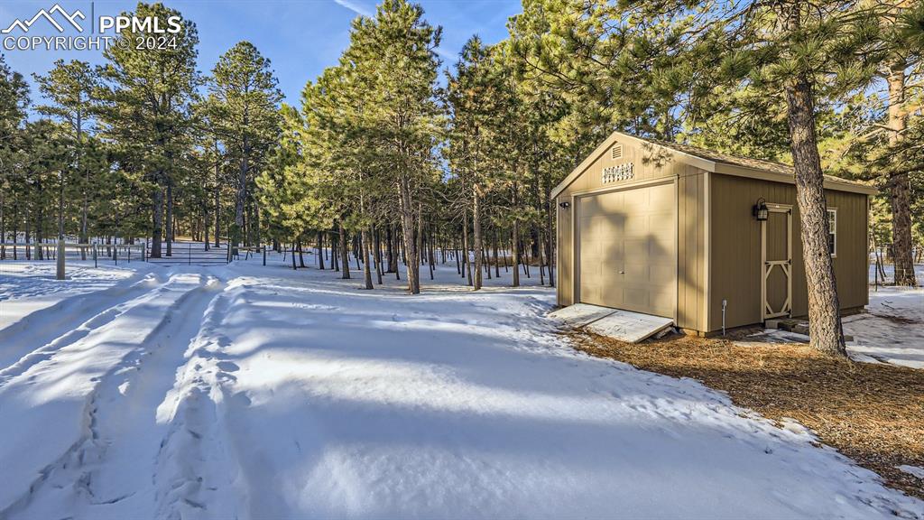 16635 High Tree Drive Elbert, CO 80106 - Photo 42 of 44 a view of backyard space and tree